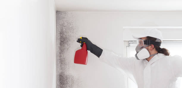 Best Mold Testing and Inspection Services in Avenel, NJ